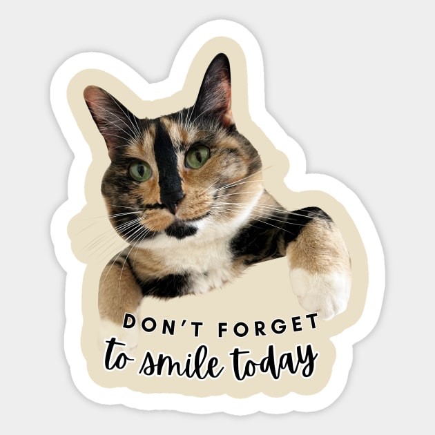 Snickers the smiling cat Sticker by SnickersTheSmilingCat